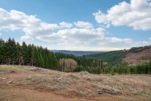 High Bank Ln-L0502-036.jpg