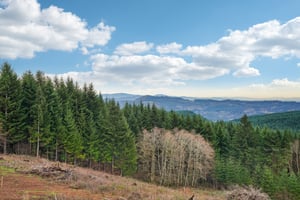 High Bank Ln-L0502-037.jpg