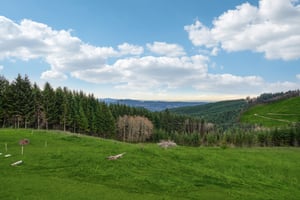 188136 - 7977 Creek Hollow Rd, Jefferson Township-S0402-048r.jpg