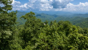  Photo 40