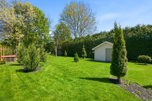  Photo 44