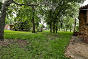  Photo 48