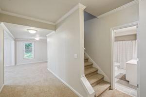 Photo 38