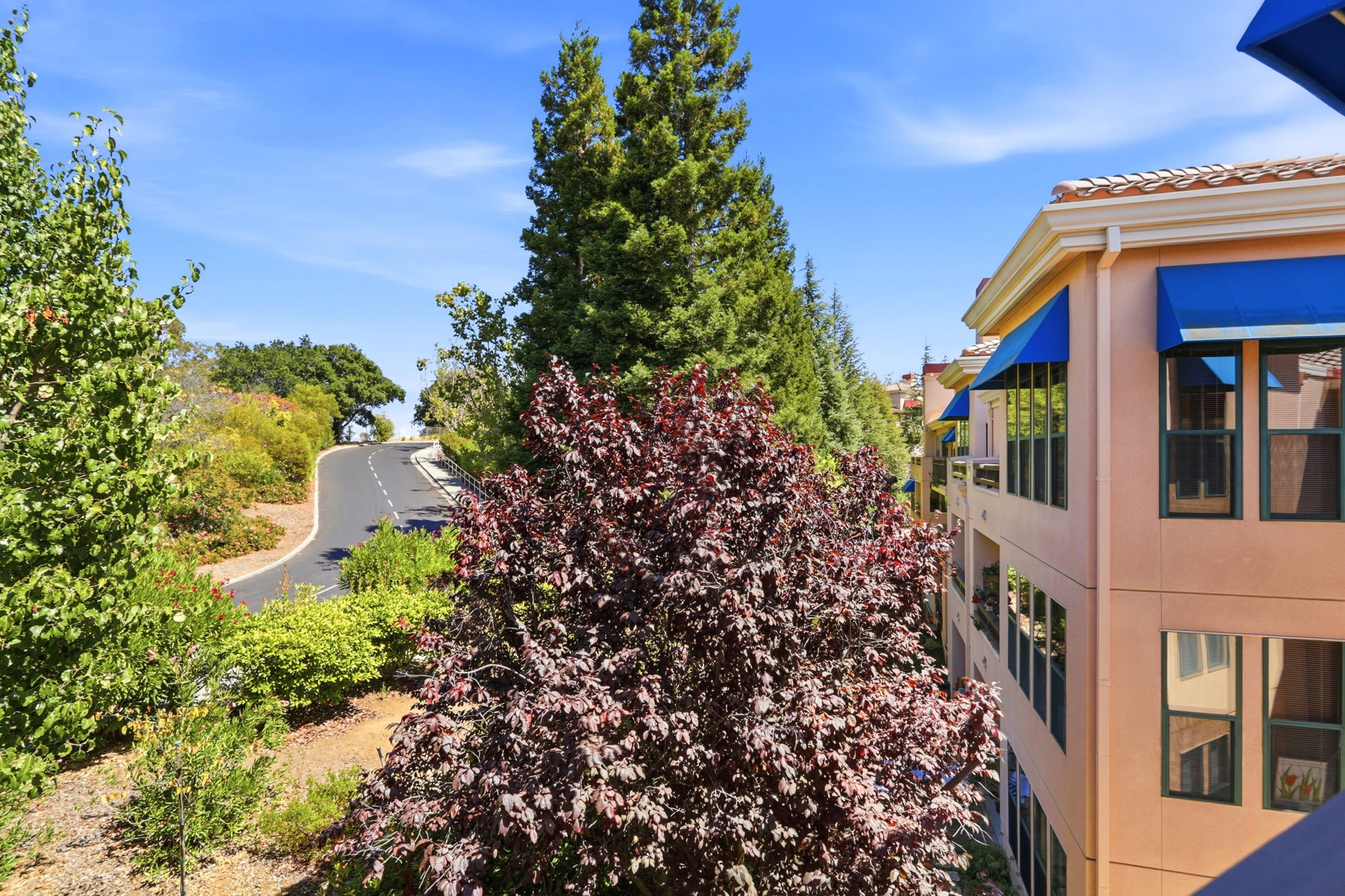 026_F8_23500 Cristo Rey Dr 504H
