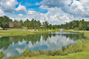  Photo 85