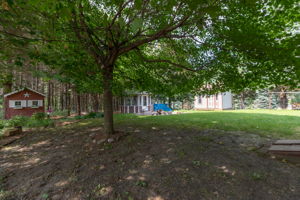 46-Back View