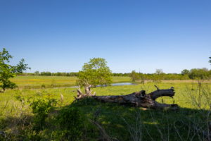  Photo 0