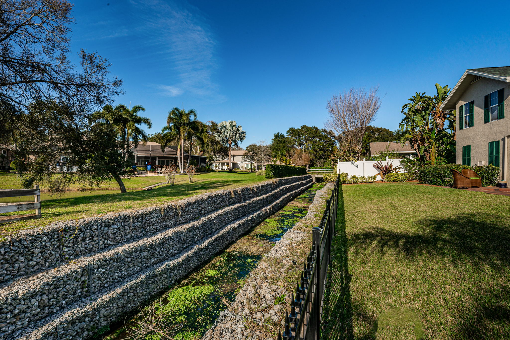 Backyard View1