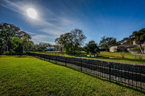 Backyard5