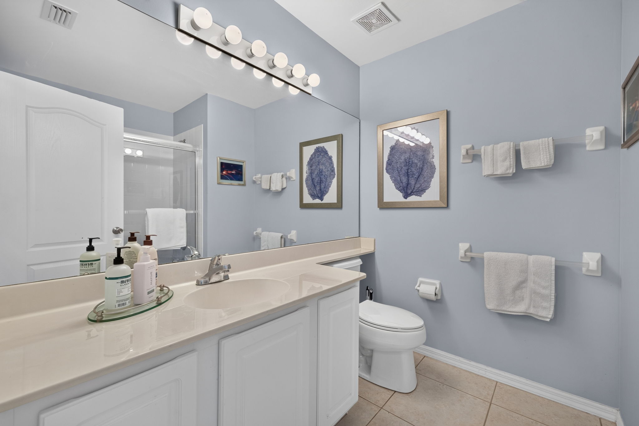 Guest Bathroom 1