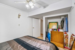  Photo 45