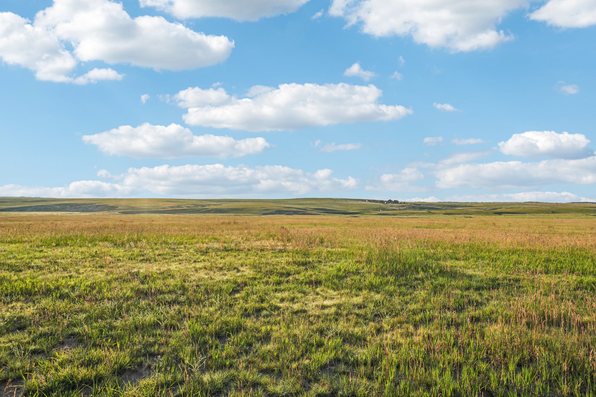 Co Rd 33 2-4-S1207-018r.jpg