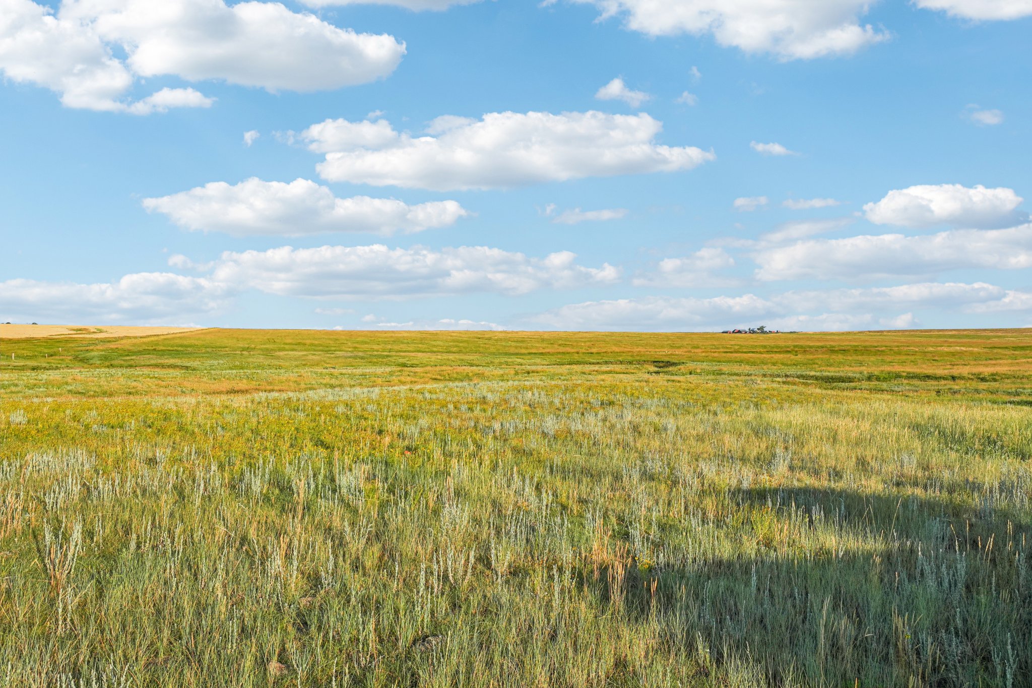 Co Rd 33 2-4-S1207-025r.jpg