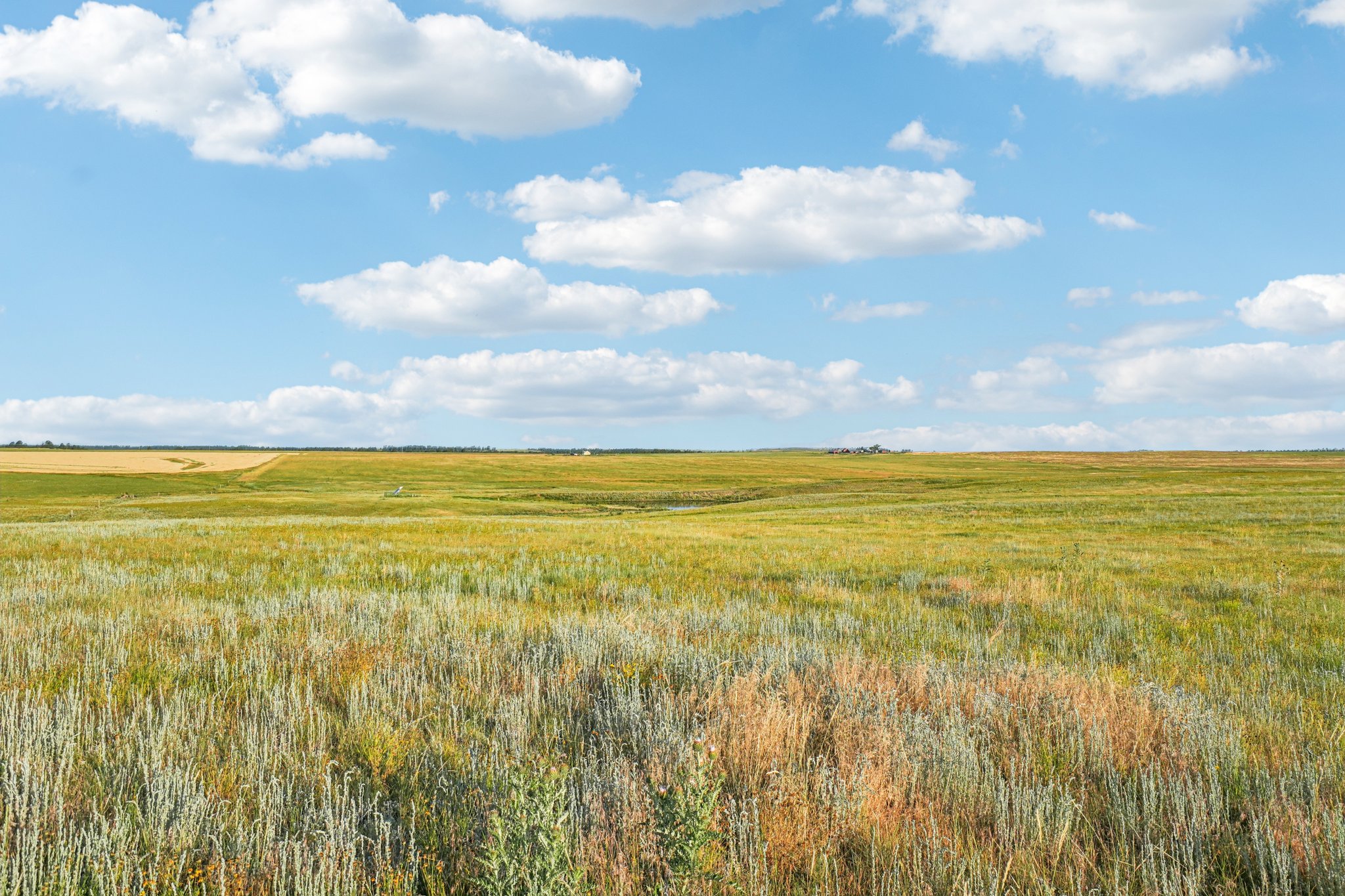 Co Rd 33 2-4-S1207-026r.jpg