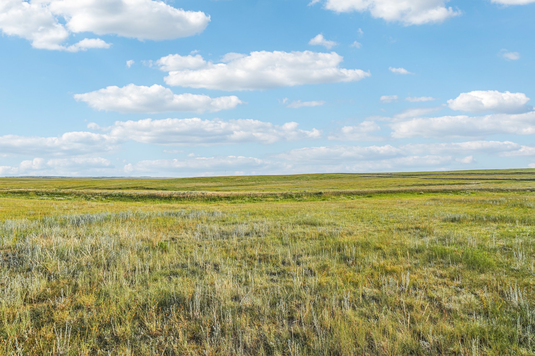 Co Rd 33 2-4-S1207-028r.jpg