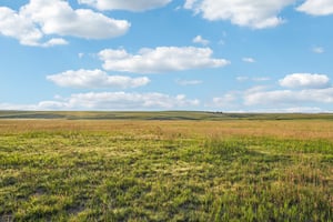 Co Rd 33 2-4-S1207-018r.jpg