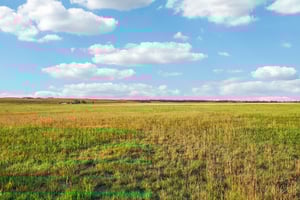 Co Rd 33 2-4-S1207-019r.jpg