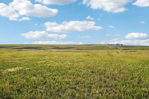 Co Rd 33 2-4-S1207-020r.jpg