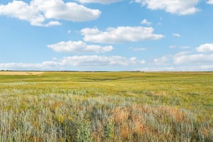 Co Rd 33 2-4-S1207-026r.jpg