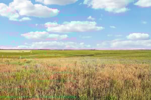 Co Rd 33 2-4-S1207-027r.jpg