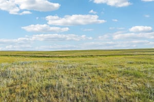 Co Rd 33 2-4-S1207-028r.jpg