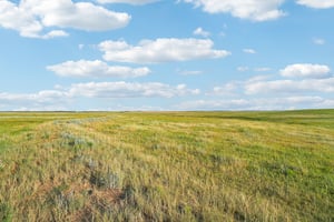 Co Rd 33 2-4-S1207-029r.jpg