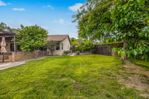 Green Glen 056