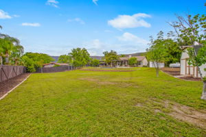 Green Glen 065