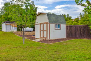 Green Glen 068