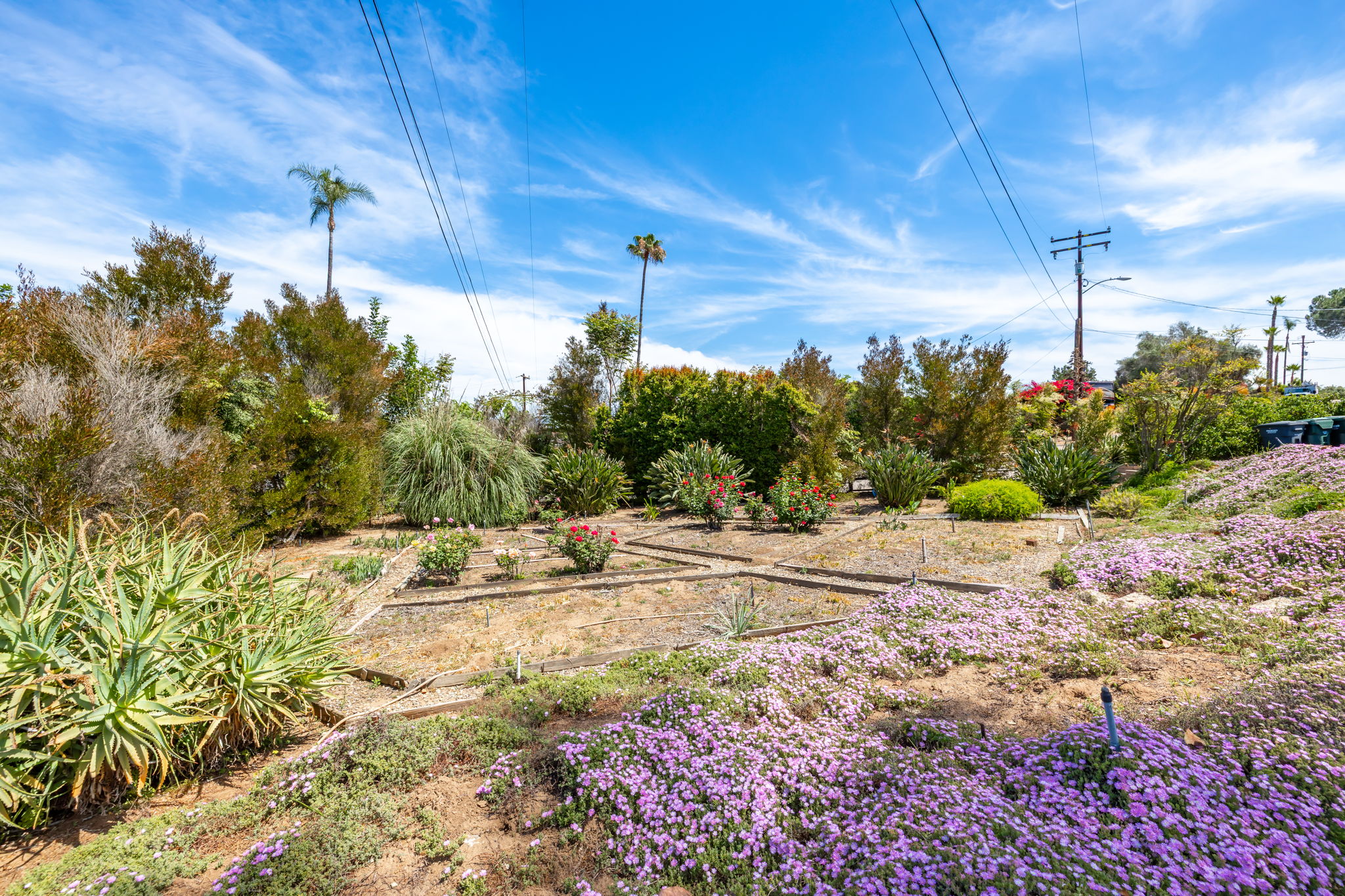  Photo 37