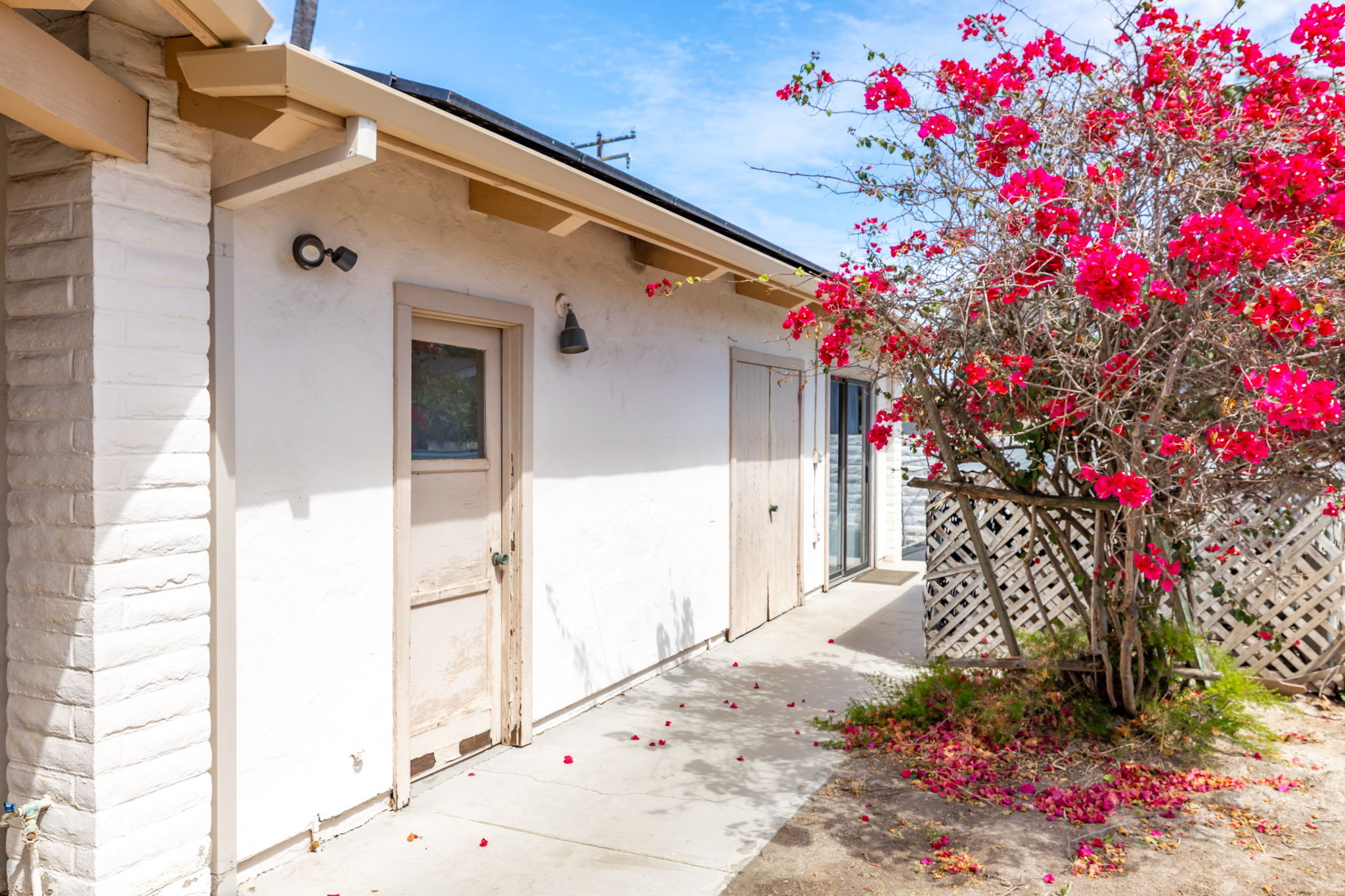  Photo 66