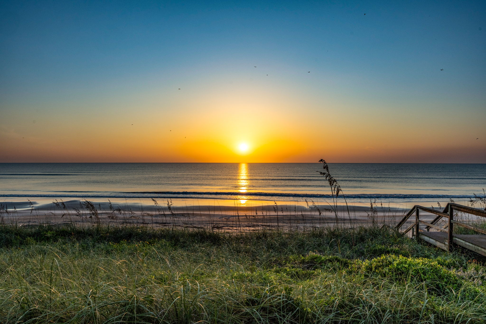Sunrise