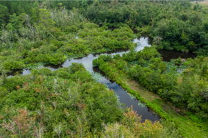  Photo 37