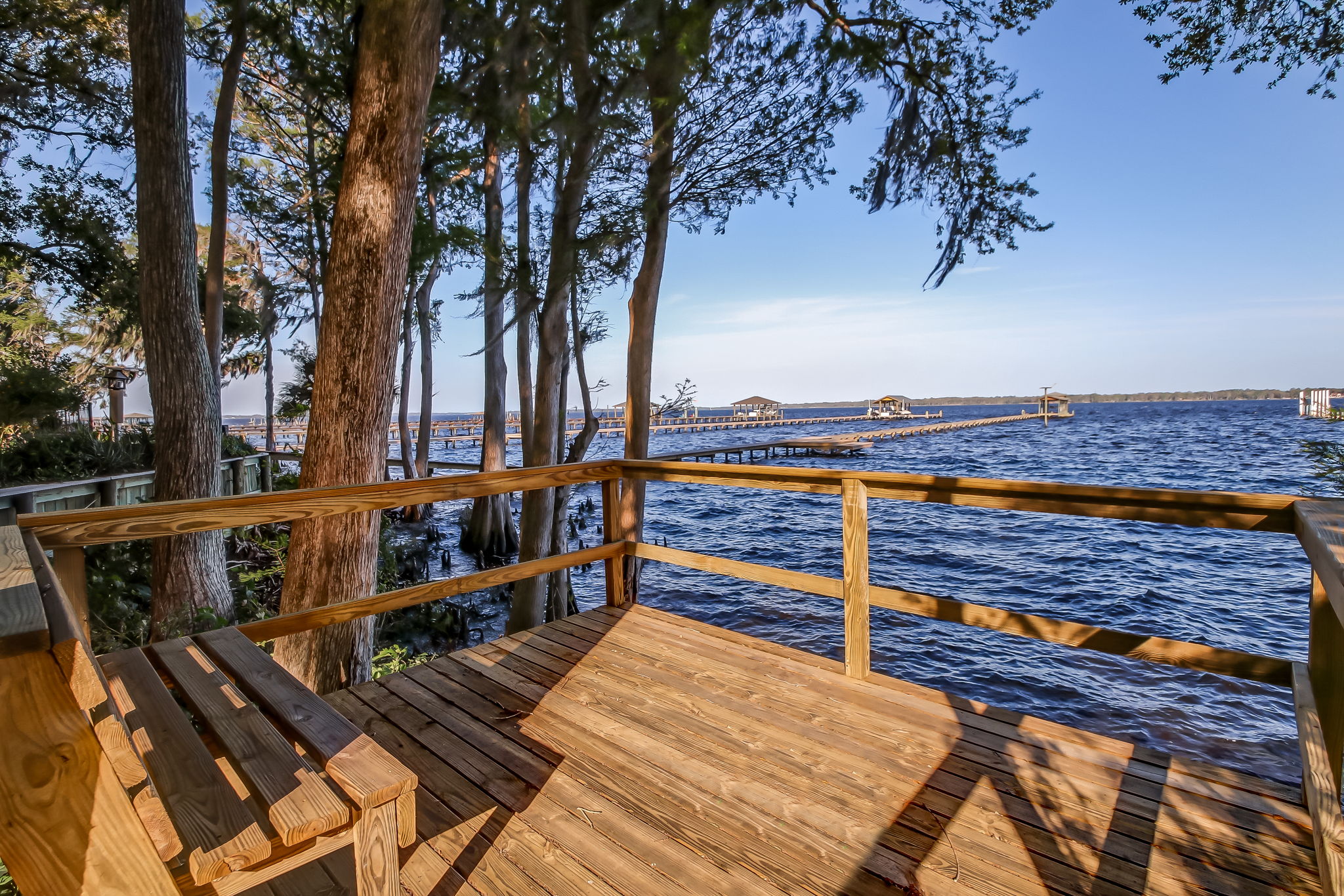 Hibernia Plantation on the St Johns River