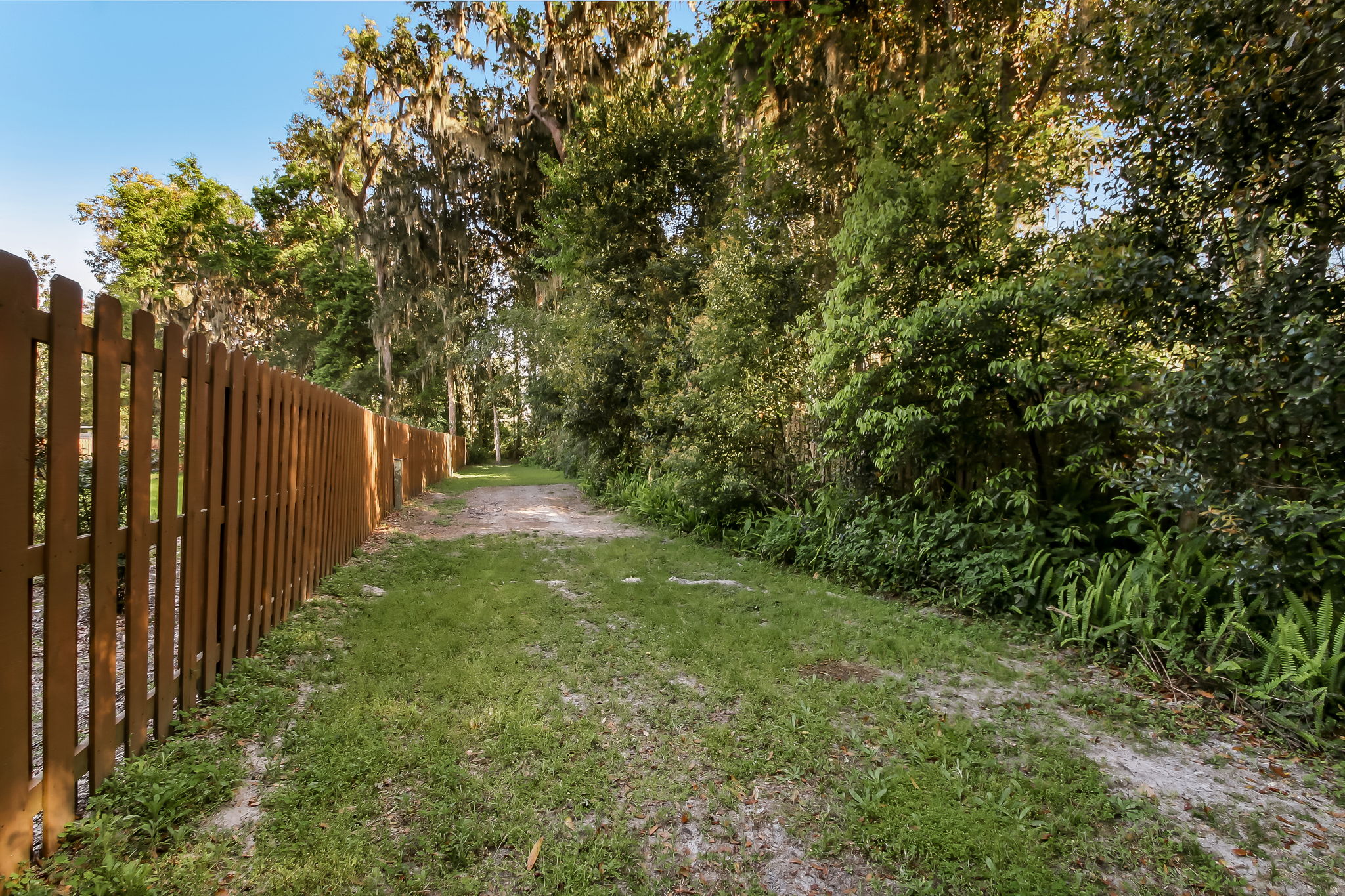 Hibernia Plantation on the St Johns River