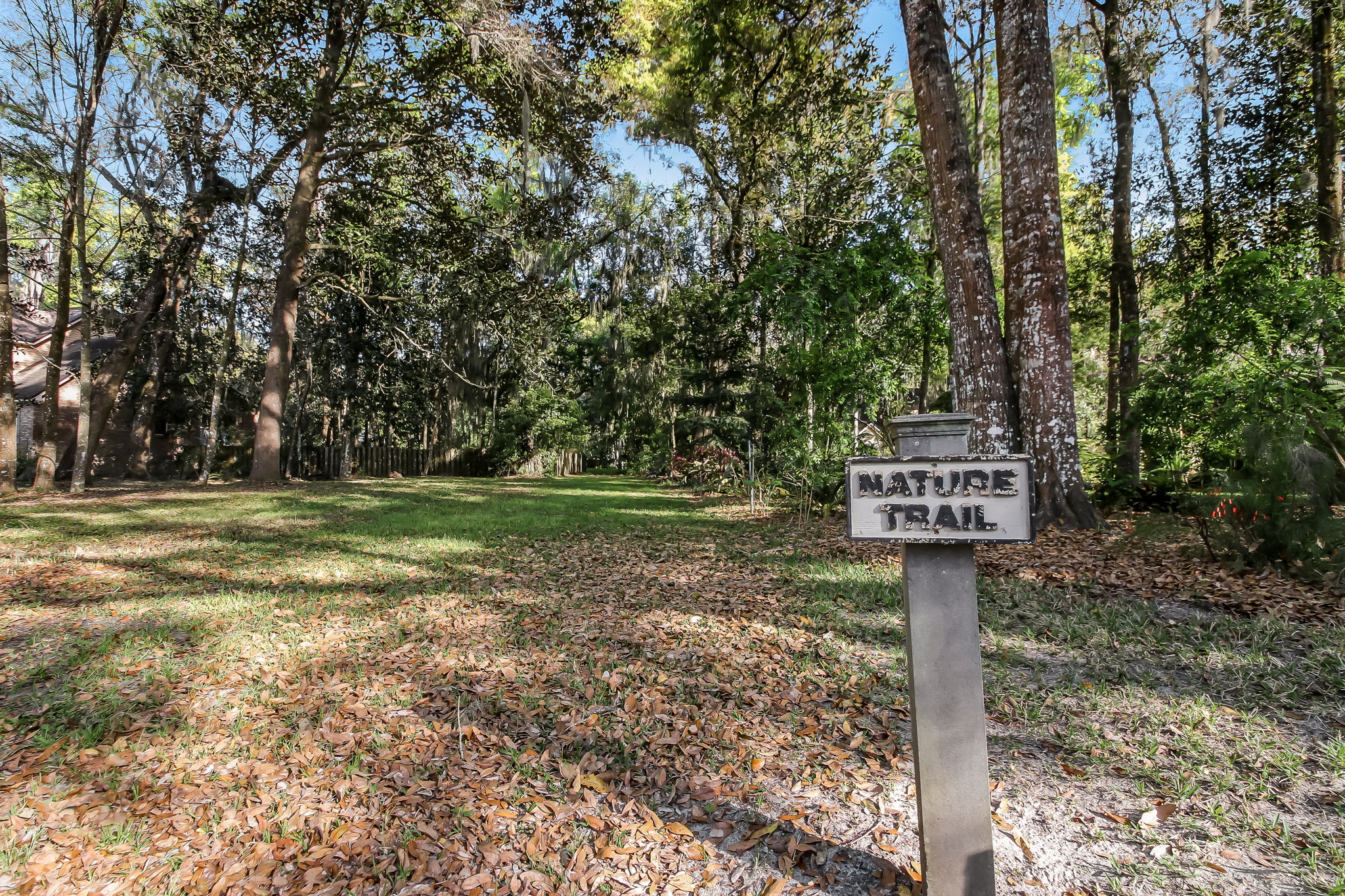 Hibernia Plantation on the St Johns River