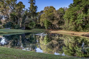 Hibernia Plantation on the St Johns River