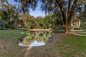 Hibernia Plantation on the St Johns River