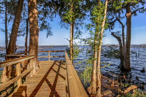 Hibernia Plantation on the St Johns River