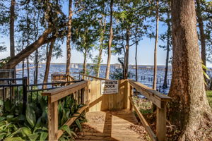 Hibernia Plantation on the St Johns River