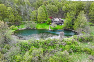  Photo 47