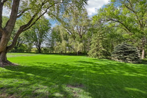 Maple St N-2105-906.jpg