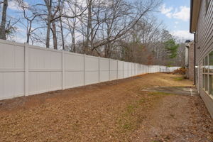Backyard, mowed by HOA