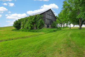  Photo 35