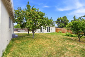 040_F8_2362 Princeton Ave