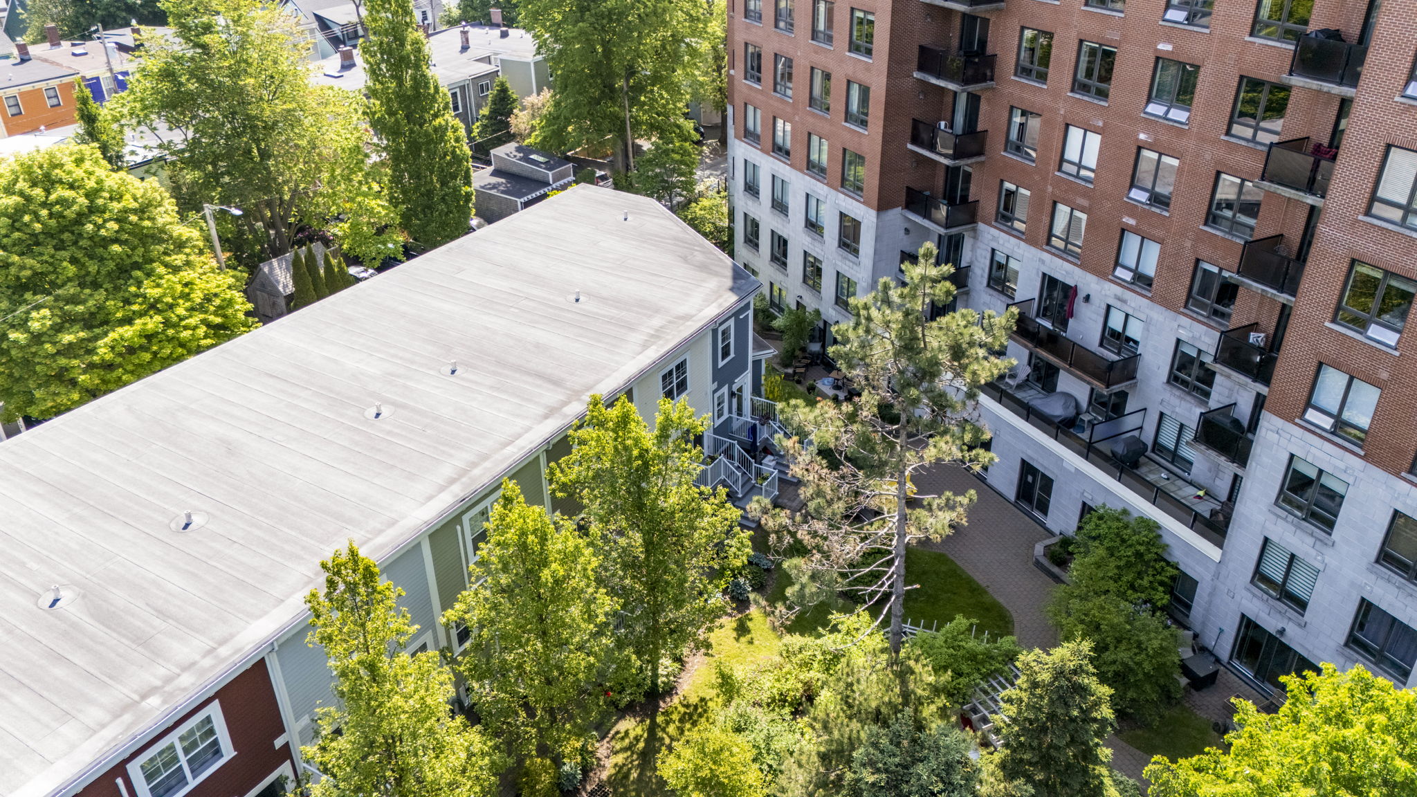 DJI_20260612100658_0010_D