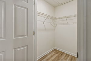 Primary Bedroom Closet