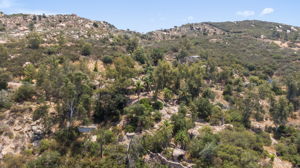  Photo 49