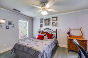 mppmedia2368glynndrse28