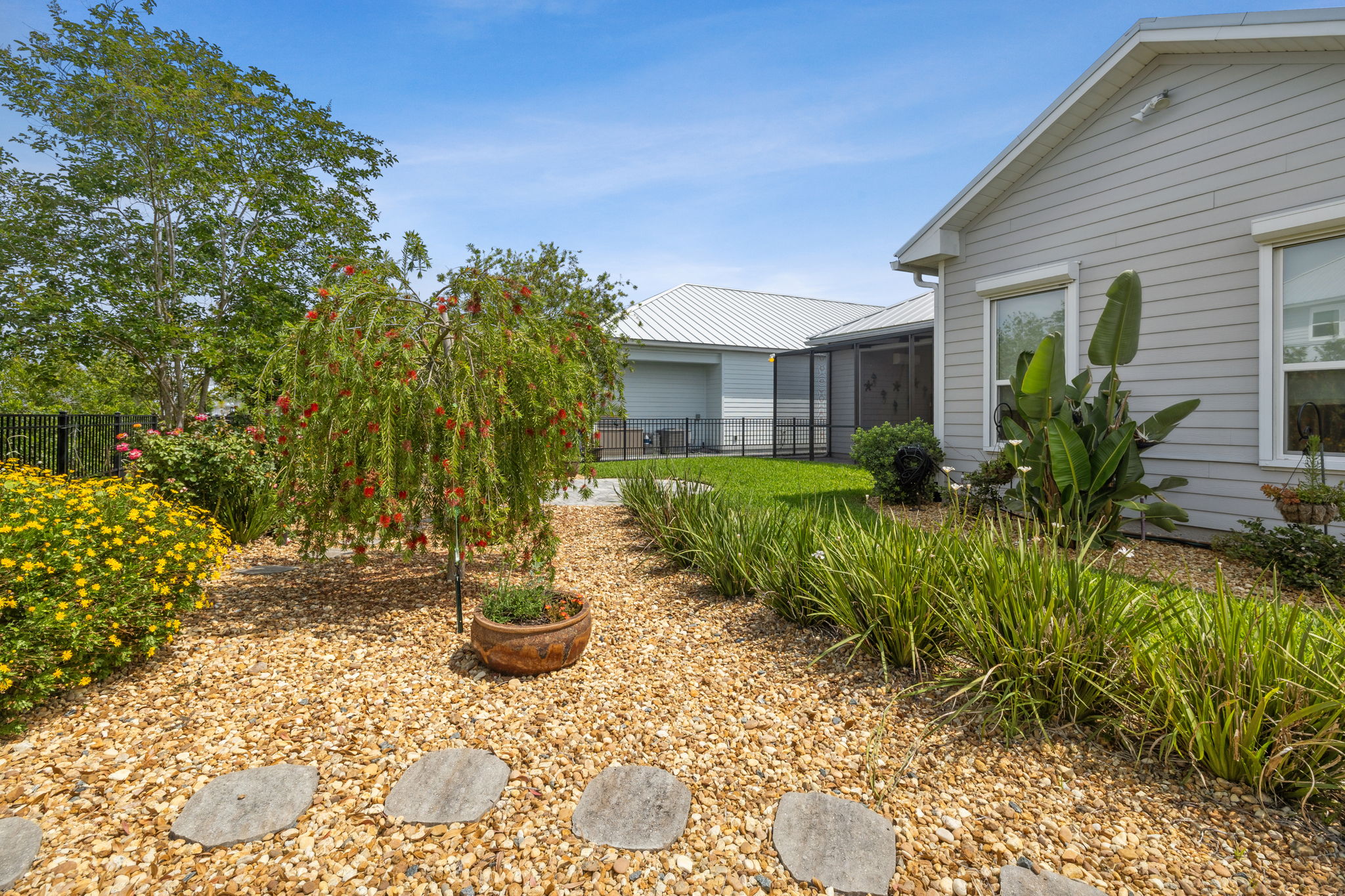Back Yard